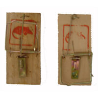AG-T-002- Mouse Trap Wooden