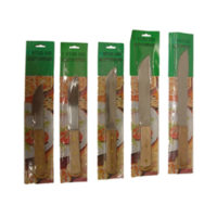 carded-kitchen-knife