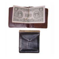 pwp-003-purse-ty-34-dollar